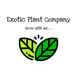 Exotic Plant Company